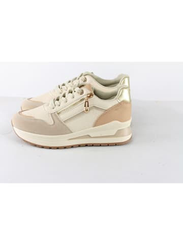 Sixth Sens Sneakers in Beige/ Gold