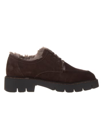 Caprice Leder-Ankle-Boots in Braun