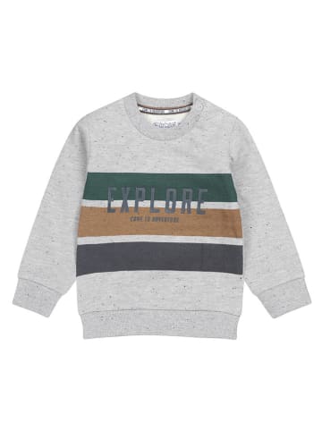 Dirkje Sweatshirt in Grau