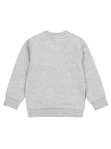Dirkje Sweatshirt in Grau