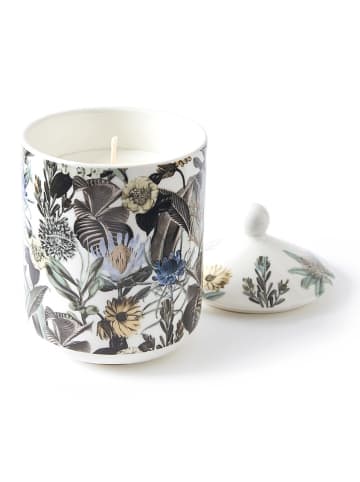CXL by Christian Lacroix Duftkerze "Garden Bleu clair - Jasmin & Ylang", 315 g