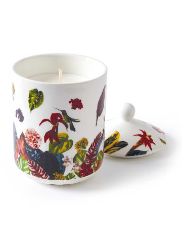 CXL by Christian Lacroix Świeca zapachowa "Jardin Tropical - Figuier" - 315 g