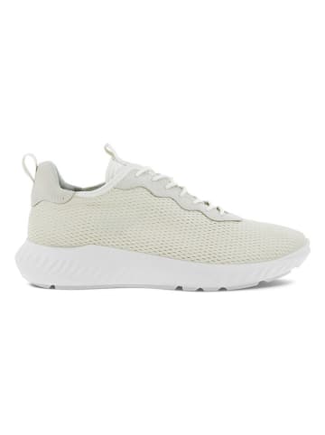 Ecco Sneakers in Creme