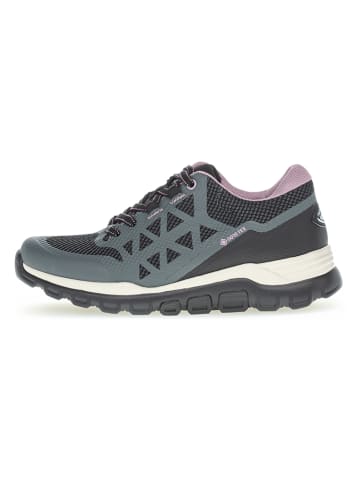 Gabor Sneakers in Anthrazit/ Rosa