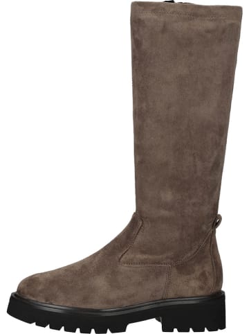 Caprice Stiefel in Braun