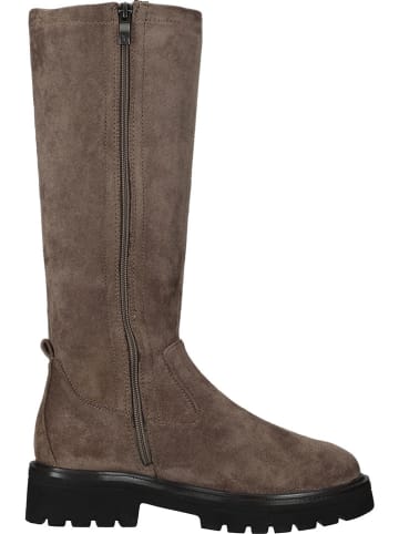 Caprice Stiefel in Braun