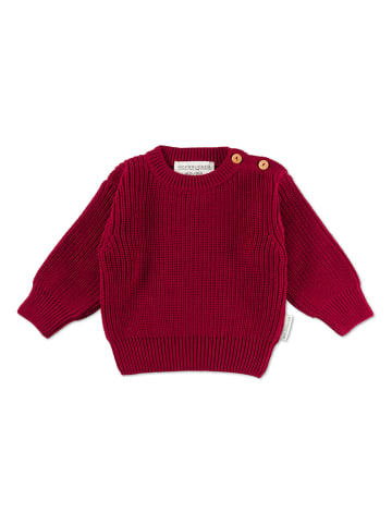 Hofbrucker Sweter w kolorze czerwonym