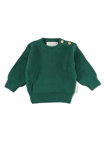 Hofbrucker Sweter w kolorze zielonym