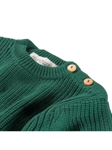 Hofbrucker Pullover in Grün