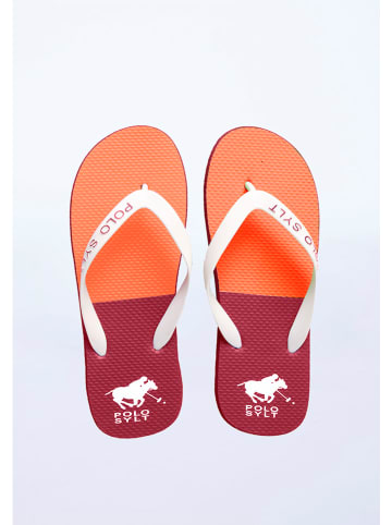 Polo Sylt Zehentrenner in Bordeaux/ Orange