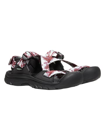 Keen Sandalen "Zerraport II" meerkleurig