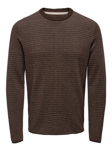 ONLY & SONS Pullover "Niguel" in Dunkelbraun