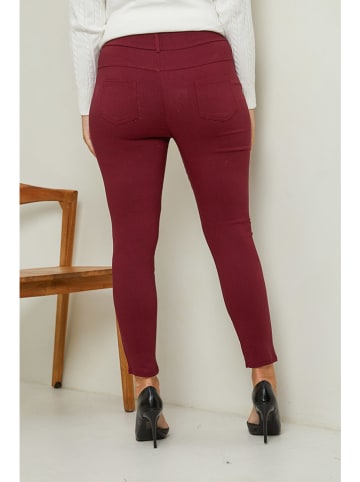 Curvy Lady Spodnie w kolorze bordowym