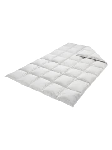 Schäfer Cassettendekbed "Carpe noctem - Warm" zilverkleurig