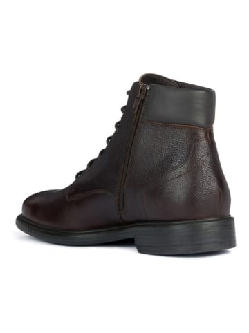 Geox Leder-Boots "Terence" in Braun