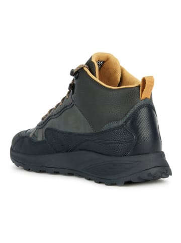 Geox Sneakers "Terrestre" in Grau