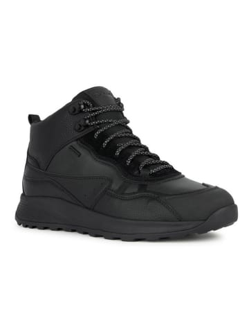 Geox Sneakers "Terrestre" zwart