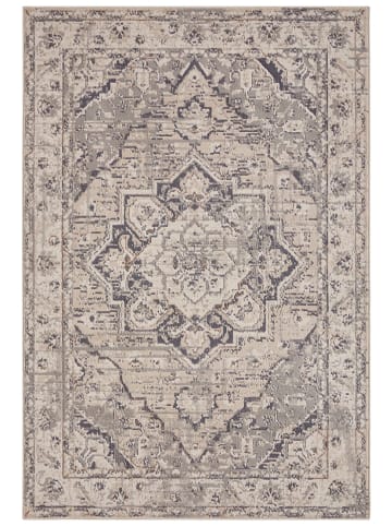 Hanse Home Laagpolig tapijt "Sand" grijs/crème