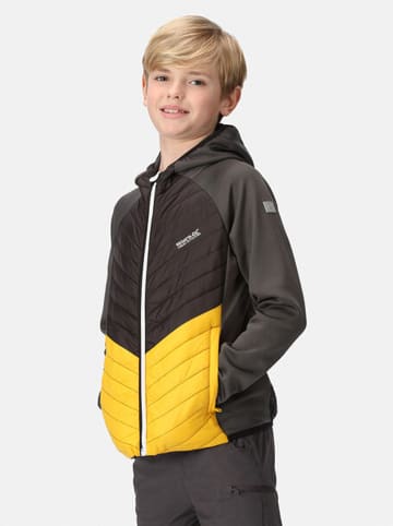 Regatta Hybridjacke "Kielder VII" in Anthrazit/ Gelb