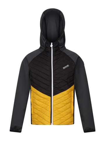 Regatta Hybridjacke "Kielder VII" in Anthrazit/ Gelb