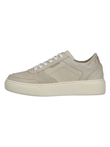 Ara Shoes Leder-Sneakers in Beige