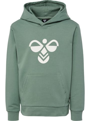 Hummel Hoodie "Cuatro" in Grün