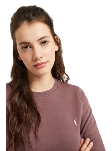 Polo Club Sweatshirt in Hellbraun