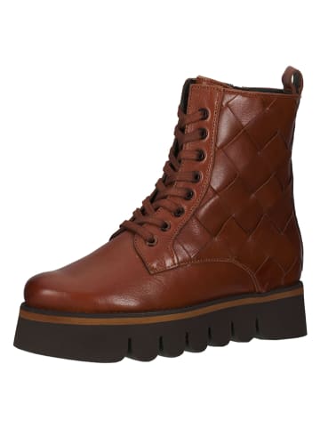 Ara Shoes Leder-Boots in Braun
