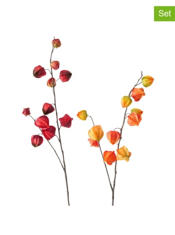 Boltze 2-delige set: decoratieve takken "Physalis" oranje/rood - (H)90 cm