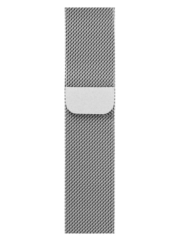 BERRIEPIE Wechselarmband für Apple Watch 38/ 40/ 41 mm in Silber
