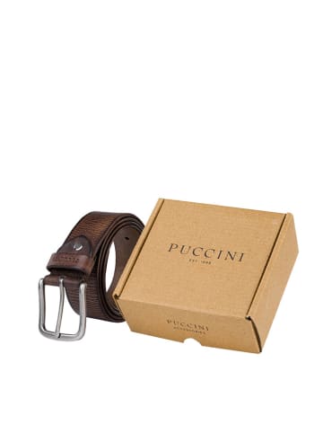 Puccini Leder-Gürtel in Braun