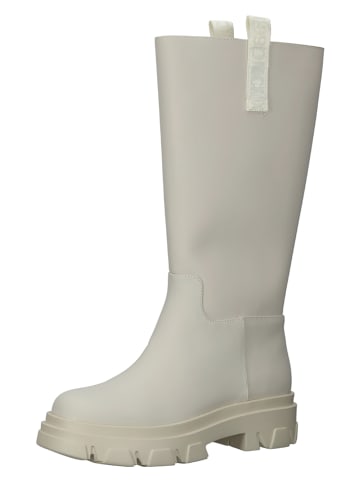 Steve Madden Stiefel in Creme