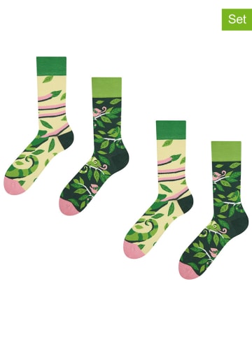 Dedoles 2er-Set: Socken in Grün