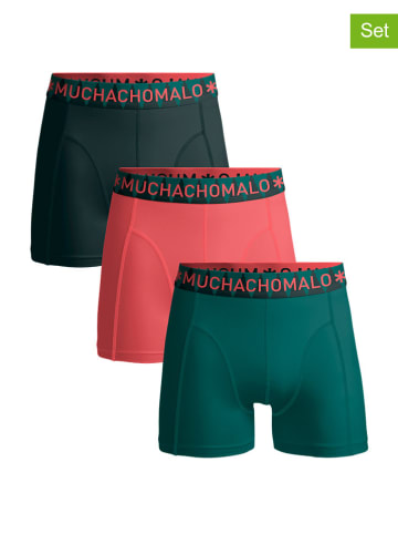 Muchachomalo 3-delige set: boxershorts groen/koraalrood
