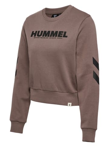 Hummel Sweatshirt "Legacy" in Braun
