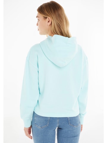 Tommy Hilfiger Hoodie "Essential" mintgroen