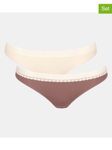 Sloggi 2er-Set: Slips in Creme/ Braun