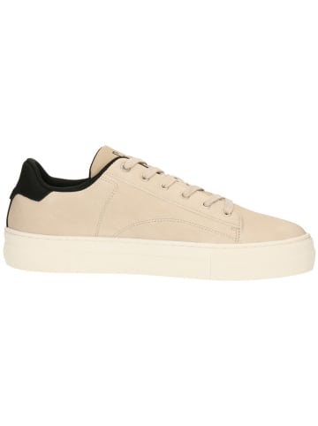 GAP Sneakers "Portland" in Beige