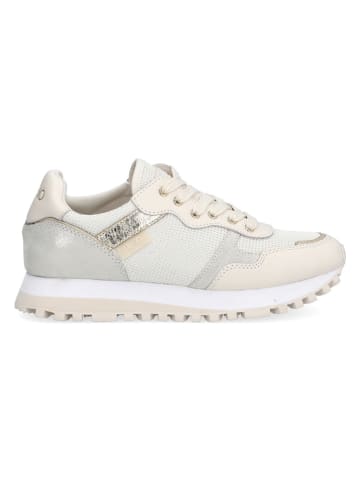Liu Jo Sneakers in Beige