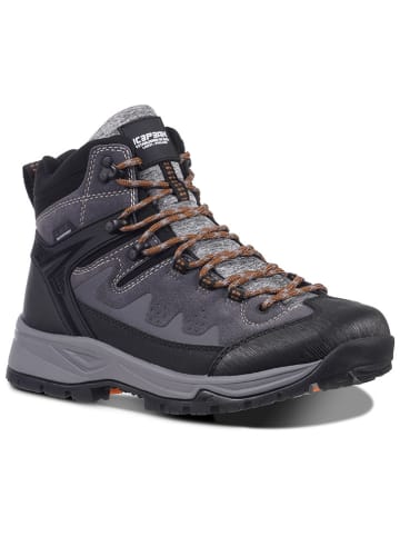 Icepeak Wanderboots in Grau