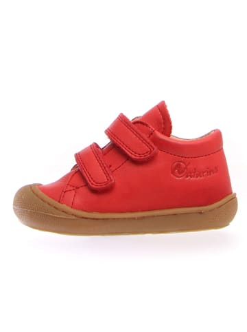 Naturino SkÃ³rzane buty "Cocoon" w kolorze czerwonym do nauki chodzenia