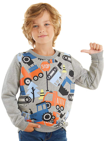 Denokids Sweatshirt "Vehicles" grijs