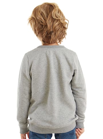 Denokids Sweatshirt "Vehicles" grijs