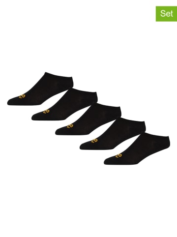 LEE Underwear 5er-Set: Socken "Frankie" in Schwarz