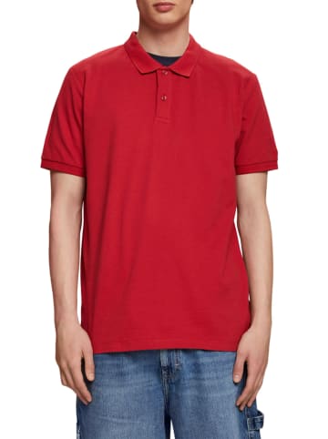 ESPRIT Poloshirt in Rot