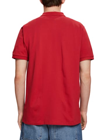 ESPRIT Poloshirt in Rot