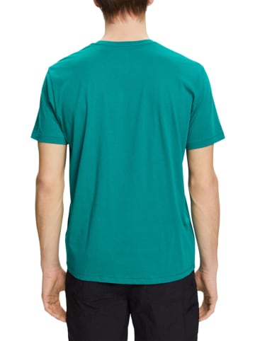 ESPRIT Shirt in Grün