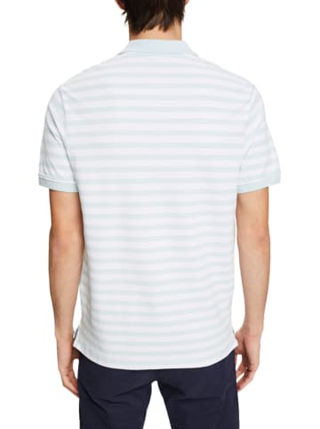 ESPRIT Koszulka polo w kolorze błękitno-białym