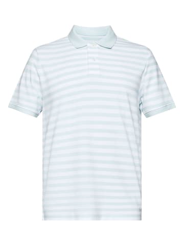 ESPRIT Koszulka polo w kolorze błękitno-białym