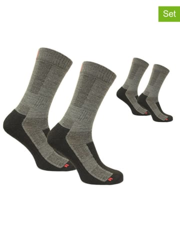 Norfolk 2-delige set: trekkingssokken "Leonardo" grijs